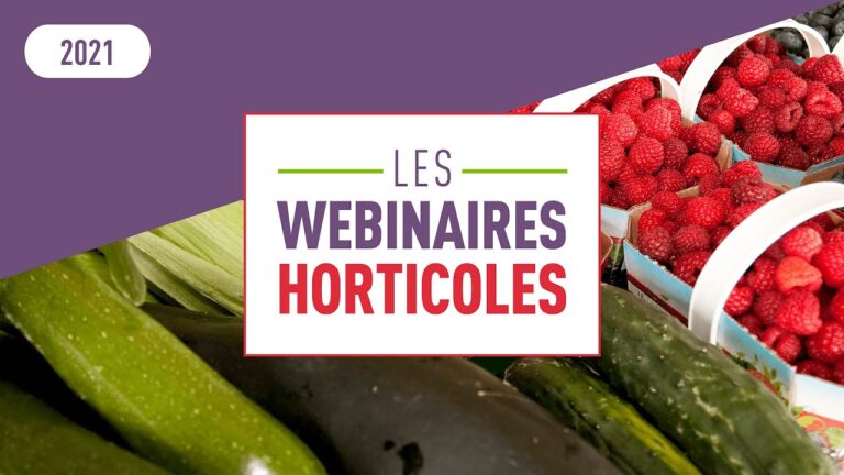Innovations en Fertilisation Organique