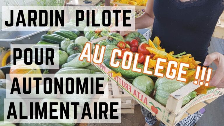 Éducation à la Permaculture : Vers une Agriculture Durable