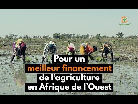 Solutions de financement pour une agriculture durable