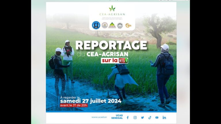 Comparatif des Formations en Agriculture Durable: Choisir la Meilleure Option