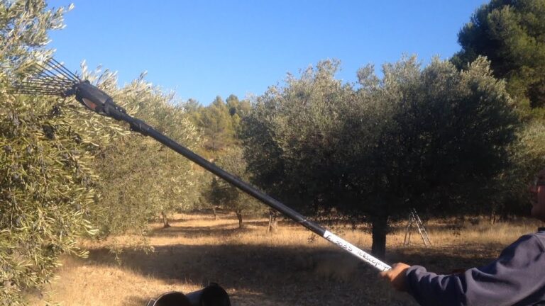 Comparaison des Mod&egrave;les de Machines de R&eacute;colte : Efficacit&eacute; et Performances