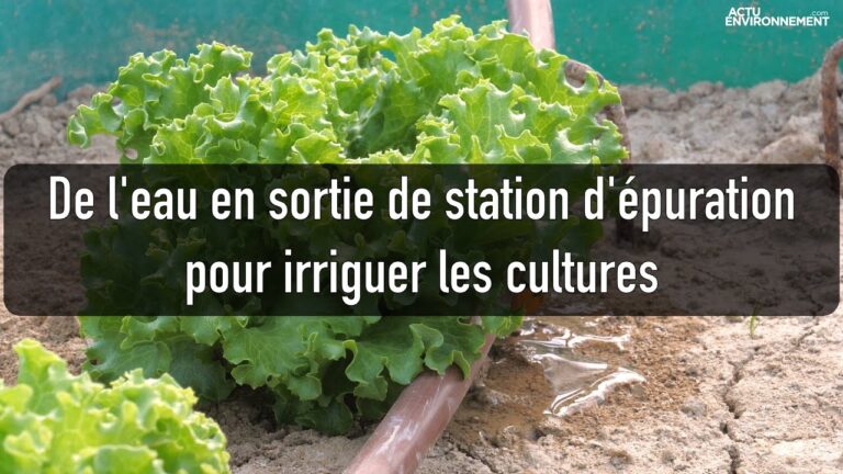 Les avantages de la r&eacute;utilisation des eaux us&eacute;es