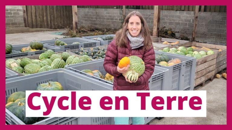 Semences Idéales pour Jardins Urbains