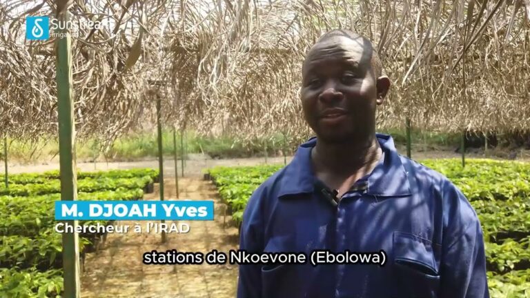 Am&eacute;liorer la Satisfaction Client gr&acirc;ce aux Syst&egrave;mes d’Irrigation