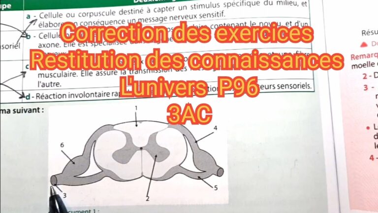 Optimisation des &Eacute;valuations des Syst&egrave;mes de Contr&ocirc;le d’Irrigation Modernes
