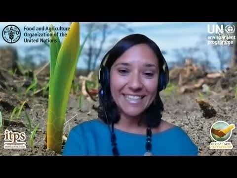 Optimisation des Programmes de Suivi de la Pollution des Sols