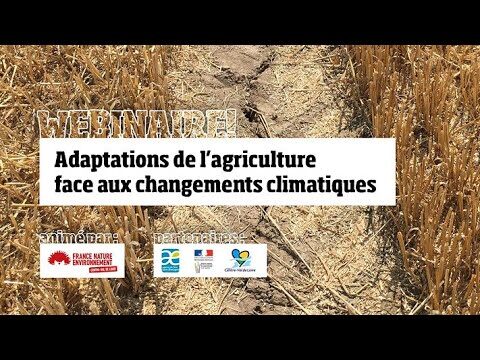Innovations et Tendances de l’Agriculture Durable