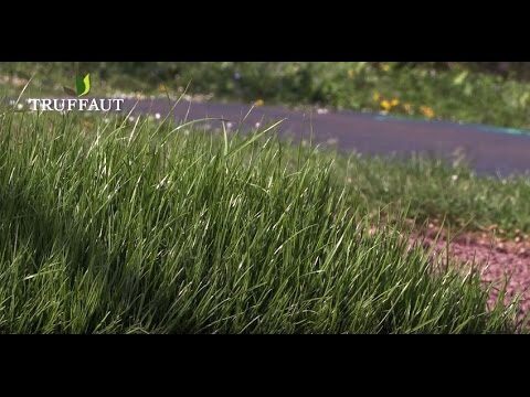 R&eacute;parer vos outils de jardinage endommag&eacute;s efficacement