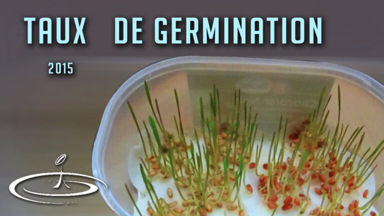T&eacute;moignages sur la Germination des Semences : Exp&eacute;riences et Astuces